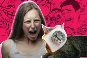 The Internet Invented a Trend So Strange, Even Reddit Rage-quit