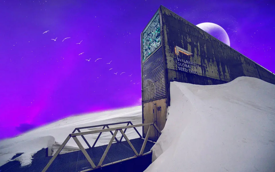 Safeguarding the Seeds of Hope